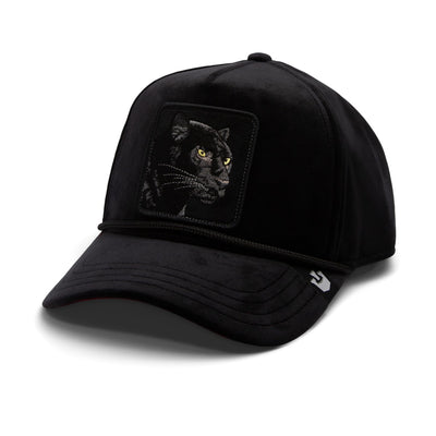 Panther Royalty Goorin Bros Black