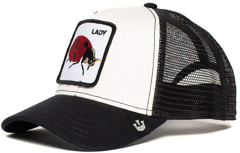 BASEBALL LADY BUG GOORIN BROS BLACK - Hut - online.at