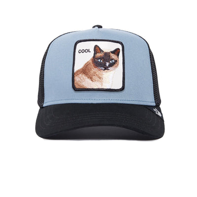 V2 Cool Cat Premium Goorin Bros Slate - Hut - online.at